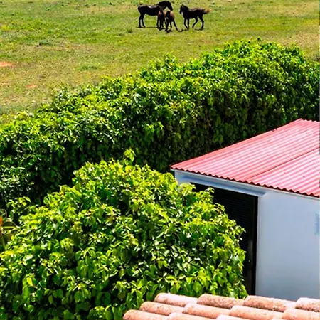 Casas Menorquinas * Cala Blanca (Menorca)